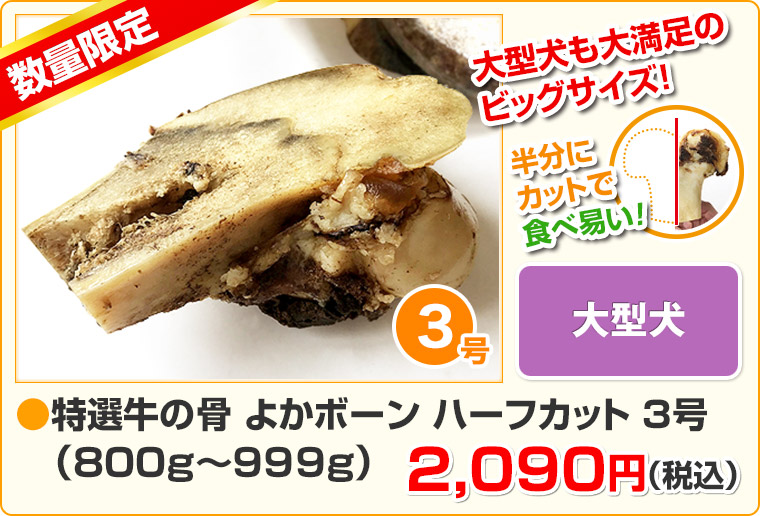 特選牛の骨 よかボーン ハーフカット3号 (800g〜999g)