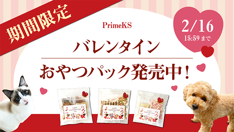 2025ǯ���ꥹ�ޥ����ꤪ��ĥѥå�