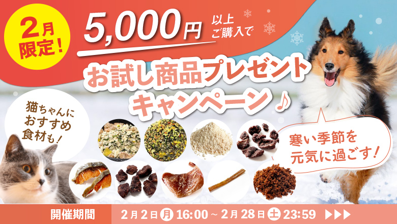 �����ߤ򸵵��˲ᤴ������������ʥץ쥼��ȥ����ڡ���