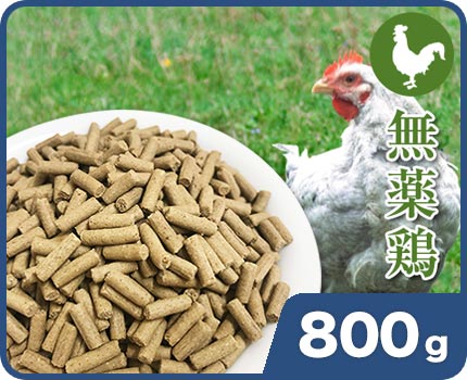 ����ʼ�ҡ�Ĺ�����֡��ܡ�800g