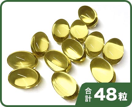 ���ᥬ3�ե��å��奪����EPA+DHA��24γ�� �� 2��