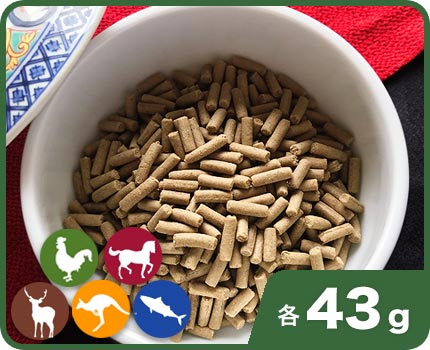 Ĺ�����֥������ȥ��å�