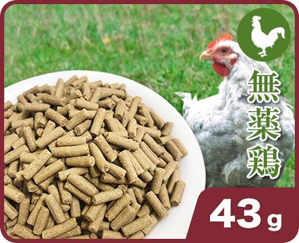 Ĺ������ �� 43g