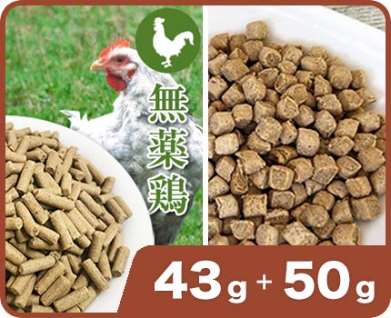 �ɥ饤�ա��ɥ��å�