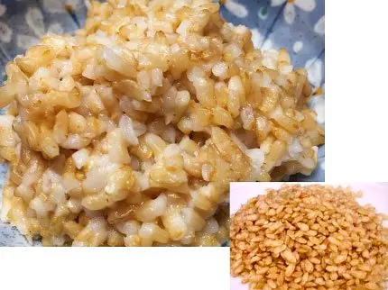 犬猫の手作りご飯（主食）「発芽玄米 1Kg」