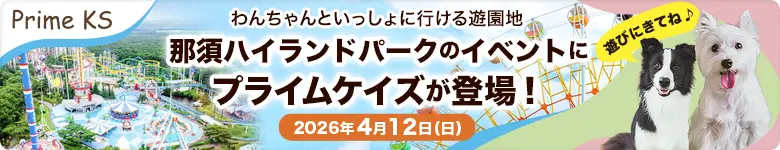 ���٥�Ƚ�Ź�Τ��Τ餻