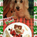 <!-- メンテOK -->クリスマスケーキ美味しかったです！　（Ｎ様　兵庫県）