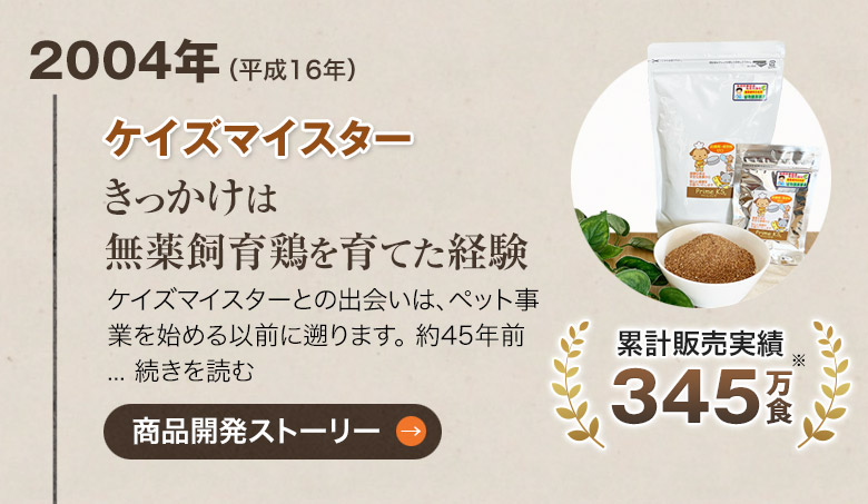 2004ǯȯ�䳫�ϡ֥������ޥ���������